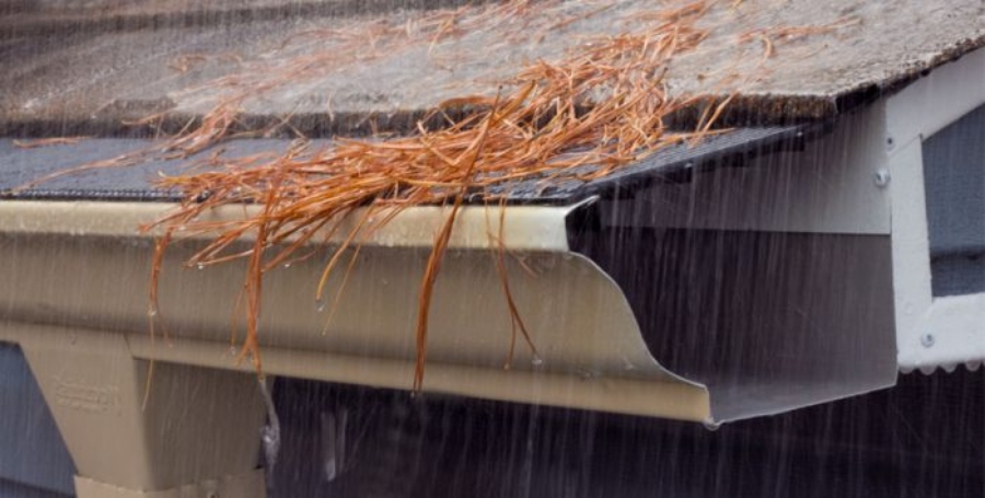 Pine-Needles-Keep-Out-of-Raindrop-Gutter-Guards-900×354-1